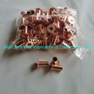 Sinotruk HOWO ट्रक पार्ट्स ब्रेक अस्तर रिवेट Wg9231340068 मानक और टिकाऊ 10*22 मिमी