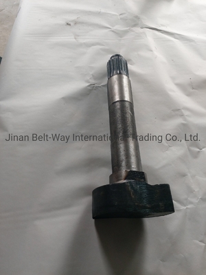Sinotruk HOWO ट्रक स्पेयर पार्ट्स ब्रेक कैमशाफ्ट Wg9100440002 Wg9100440001 गियरबॉक्स के लिए