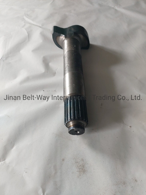 Sinotruk HOWO ट्रक स्पेयर पार्ट्स ब्रेक कैमशाफ्ट Wg9100440002 Wg9100440001 गियरबॉक्स के लिए