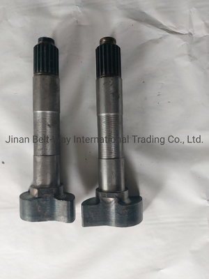 Sinotruk HOWO ट्रक स्पेयर पार्ट्स ब्रेक कैमशाफ्ट Wg9100440002 Wg9100440001 गियरबॉक्स के लिए