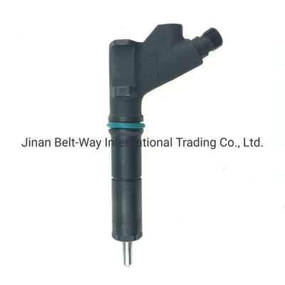 इंजन भाग के लिए कस्टम ईंधन इंजेक्टर VG1246080036 OEM Vg1246080036TवारंटीT1 साल