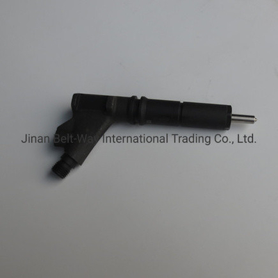 इंजन भाग के लिए कस्टम ईंधन इंजेक्टर VG1246080036 OEM Vg1246080036TवारंटीT1 साल