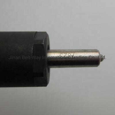 इंजन भाग VG1246080036 के लिए CE प्रमाणित ईंधन इंजेक्टर