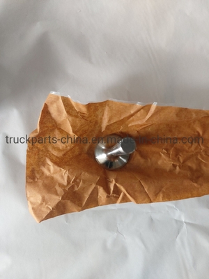 विद्युत प्रणाली भागों Sinotruk HOWO ट्रक इंजन निकास आउटलेट वाल्व Vg1560050041