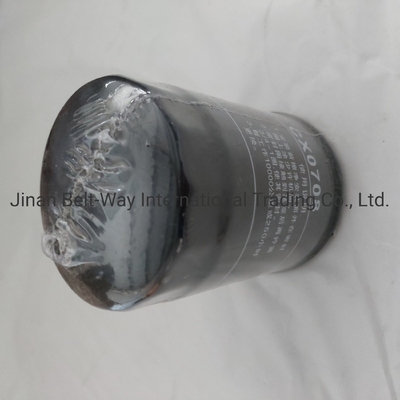 Sinotruk HOWO ट्रक पार्ट्स के लिए परफेक्ट ईंधन फिल्टर Cx0708 को Made-in.com पर खोजें