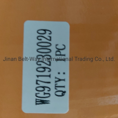 Sinotruk HOWO ट्रक पार्ट्स क्लच बूस्टर सिलेंडर Wg9719230029 आपके ट्रक के लिए एकदम सही