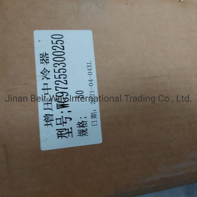 Sinotruk HOWO ट्रक स्पेयर पार्ट्स सुपरचार्ज इंटरकूलर Wg97255300250 Wg9725530020