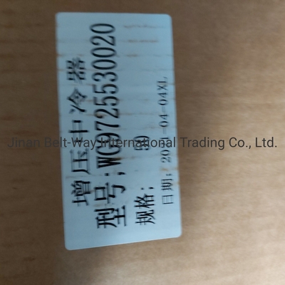 Sinotruk HOWO ट्रक स्पेयर पार्ट्स सुपरचार्ज इंटरकूलर Wg97255300250 Wg9725530020