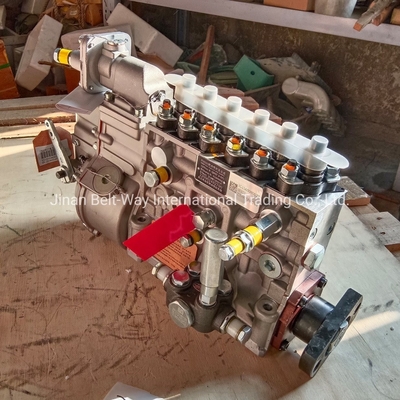 लागू ट्रक HOWO 371/Shacman F3000/F2000/M3000 इंजन ईंधन इंजेक्टर पंप Vg1560080022